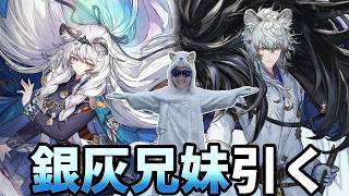 凛御シルバーアッシュと聖聆プラマニクス兄妹両方引くぜ【アークナイツ】