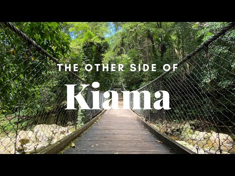 Best Weekend Day Trip from Sydney: KIAMA | Minnamurra Rainforest & Cathedral Rocks
