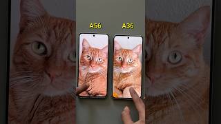 Prueba de cámara Samsung Galaxy📸 A36🆚A56