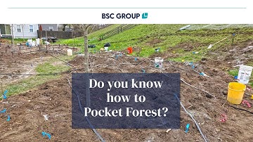 Ayer-Devens Pocket Forests: Building Climate-Resilient Communities