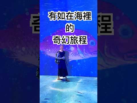 比看電影還好玩的互動式投影動畫 【跟著藝術家來放風】#浮世繪 #海鮮 #互動遊戲 #沈浸式