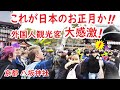 【リアルな海外の反応】外国人観光客 日本のお正月に触れ大感激!最高の旅!八坂神社 新春かるた始め