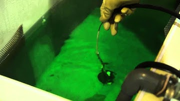 Quà tặng độc đáo ngày 8/3 ý nghĩa: Hoa hồng mạ vàng 24K mang thương hiệu Karalux