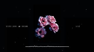 Steve Aoki - Lies (ft. Kream)