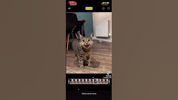 What using an animation pose library used wrong looks like