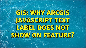 GIS: Why ArcGIS JavaScript text label does not show on feature?
