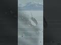 Raindrop racing gets intense 🥺