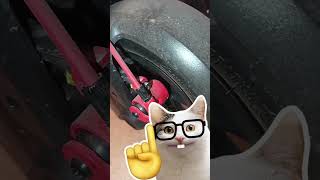 ENTRETIEN MENSUEL TROTINETTE SEGWAY NINEBOT F3