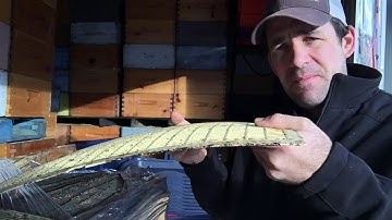 Impressions on plastic vs metal bound queen excluders-a Canadian Beekeeper’s Blog