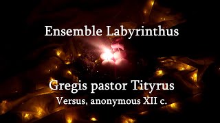 Gregis pastor Tityrus -  Ensemble Labyrinthus