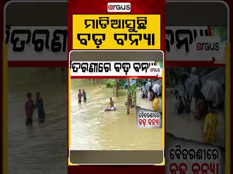 ମାଡିଆସୁଛି ବଡ଼ ବନ୍ୟା | Odisha Flood Alert: Major Flood Threat Looms as River Levels Rise | Argus News