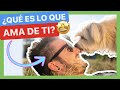 Éstas son las 5 COSAS que UN PERRO AMA DE TI 😍 ► ¿Cómo le digo que LO QUIERO? ❤️