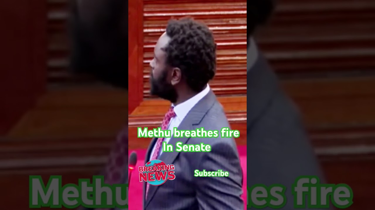 Sen. Methu Questions IG and DCI Boss at Senate on Albert Ojwang Death 