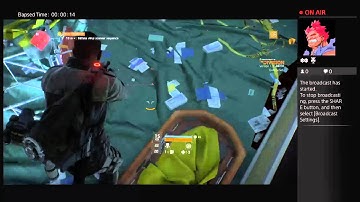 The division beta bug