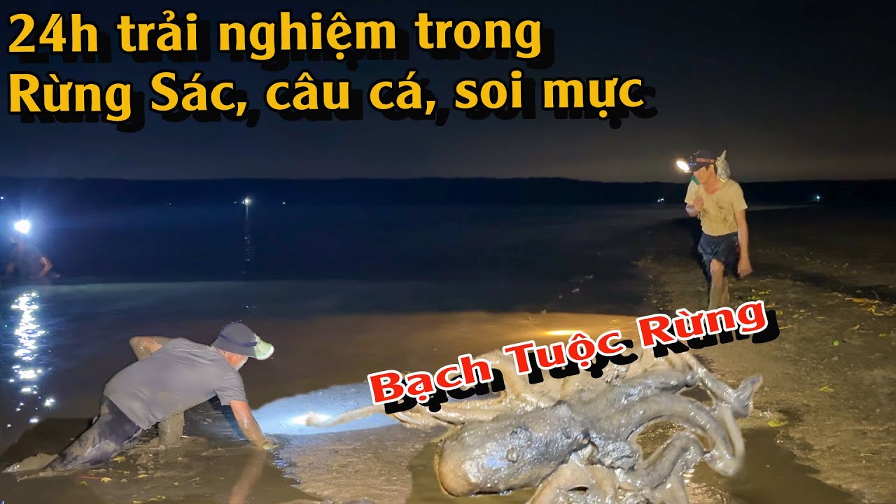 Đi Soi Mực Rừng Sát | TGSB #849 - YouTube