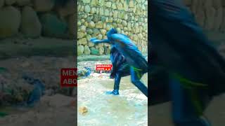PWAZON RAT MEN DANJEA NEG MATOA VLE TOUYE JERA #pwazon #movie #nollywood #stadens #hollywood