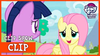 Fluttershy's Ability to Communicate with Animals (Memnagerie) | MLP: Friendship is Forever