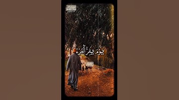 یَوۡمَ یَفِرُّ ٱلۡمَرۡءُ مِنۡ أَخِیهِ🥺❤️ الشيخ محمود الشحات أنور  #القران_الكريم #تلاوه_خاشعه