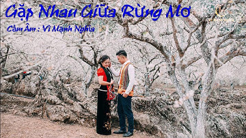 Cảm âm Gặp Nhau Giữa Rừng Mơ c5