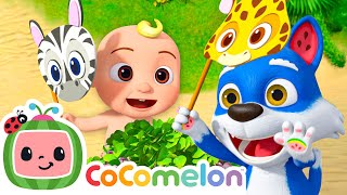 peekaboo summer animals cocomelon animal time kids cartoons