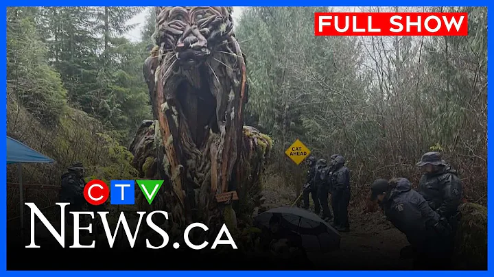 Smouldering Tensions Sparked Over Old Growth Logging |  CTV News Vancouver Island | Nov 26/25