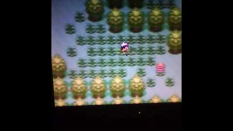 Pokemon Ruby Scyther Solo Run Part 6 More Training.....