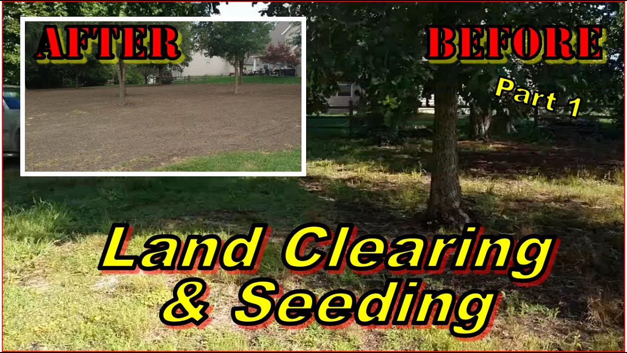 Clearing & Seeding a wooded lot - See the process and problem. - YouTube