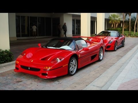 ferrari f50 gto