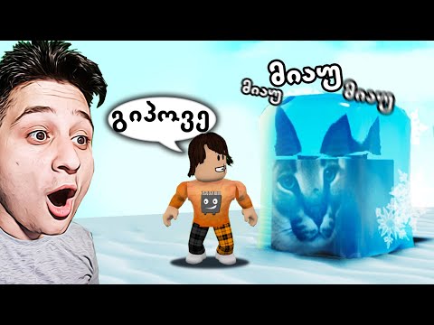 გაყინული ფლოპა ვიპოვე Find The Floppa Morphs roblox ubralod noobi