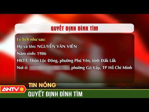 | ANTV
