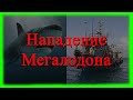 Мегалодон - нападение на человека (доисторического морского хищника).