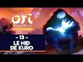 Ori and the blind forest 13  le nid de kuro