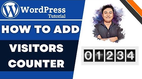 How to Add Visitor Counter to Your WordPress Website | Track How Many People are Visiting