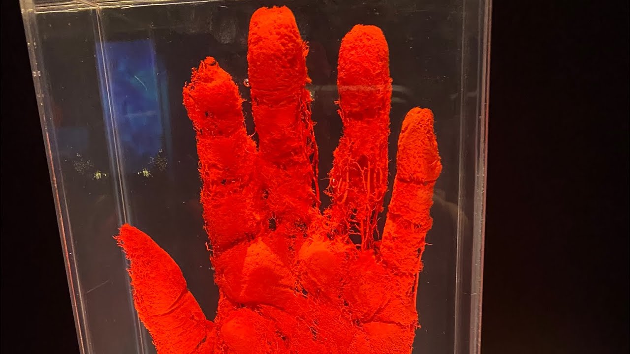 Castlevina dnd campaign podcast session 5 dnd podcast castlevania