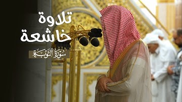 تلاوة خاشعة من سورة التوبة للشيخ أ.د. محمد برهجي | فجر الأربعاء 2-11-1446هـ
