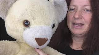 How to Clean Plushes Stuffed Animal Toys The Do