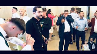 Alin Pustanu Dema Mamo Mamo Live 2025 Nuntă Germania