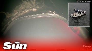 Underwater video shows 50 metre 