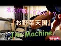 【kimulabo】本人が叩いてみた!?『お野菜天国』Jin-Machine