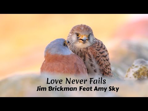 Love Never Fails - Jim Brickman Ft. Amy Sky (tradução) HD