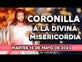 CORONILLA A LA DIVINA MISERICORDIA DE HOY MARTES 14 DE MAYO DE 2024|Yo Amo Mi Fe Católica