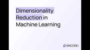Dimensionality Reduction in Machine Learning Explained