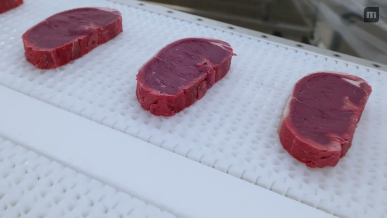 Bell/Switzerland GMS 1600 line