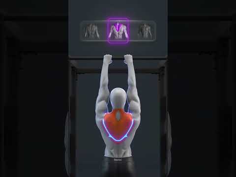 أسرار تمرين العقلة لبناء ظهر وبايسبس ضخمة العقلة تمارين تمارين ظهر تمارين بايسبس بناء عضلات