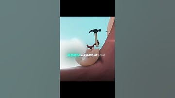 Never give up your dreams🥹|kiwi bird#kiwi#bird#shorts#viral?