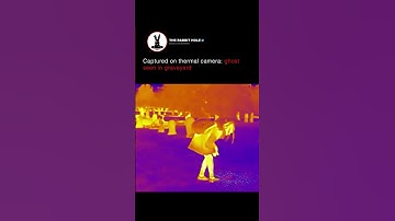 Captured on thermal camera, ghost seen in graveyard