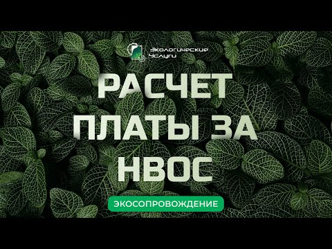 Расчет платы за негативное воздействие на окружающую среду (НВОС) 2023