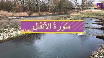 سورة الأنفال Al-Anfaal  | بصوت عذب يريح القلب