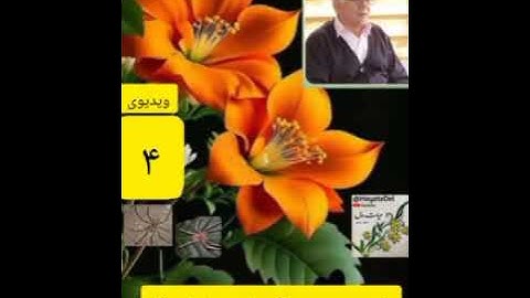 ۴-شرح سوره مبارکه عنکبوت آیات۳۱به بعد