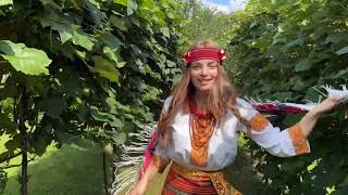 картинка: У Карпатах є дівчина, така файна як пташина (відео @dzvony.official, ідея тексту  @Mihailo-yc8bq
